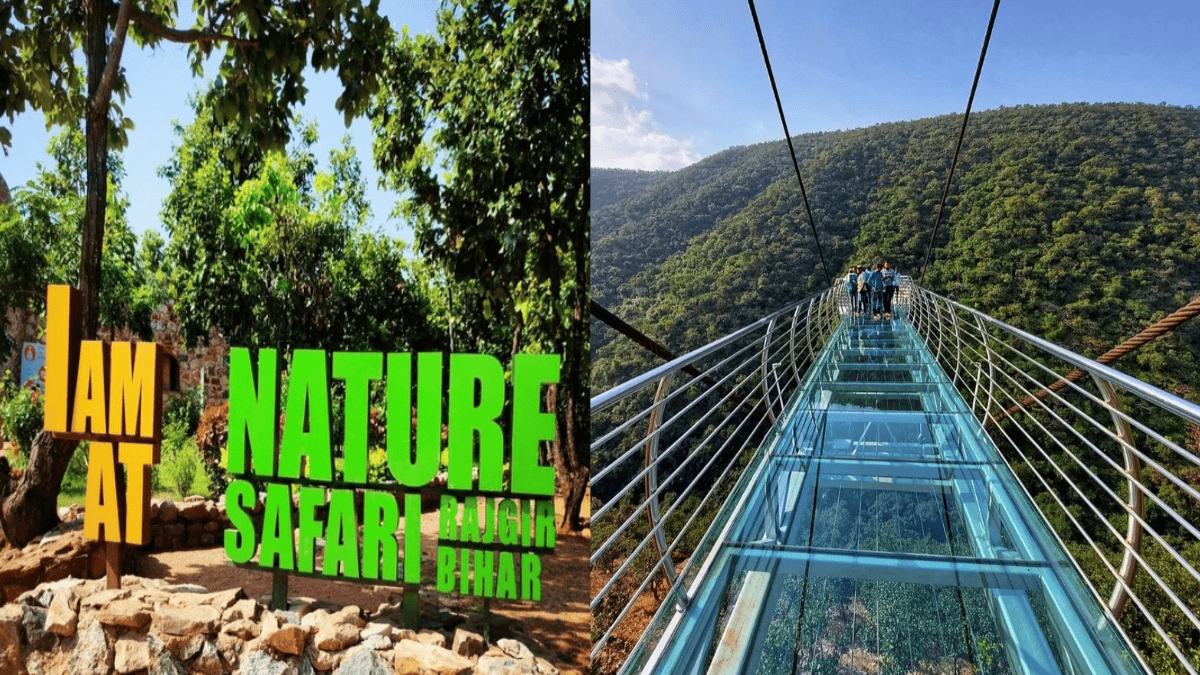 Rajgir Wildlife Safari